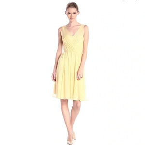 NWT Vera Wang Chiffon Pleated Lace Dress